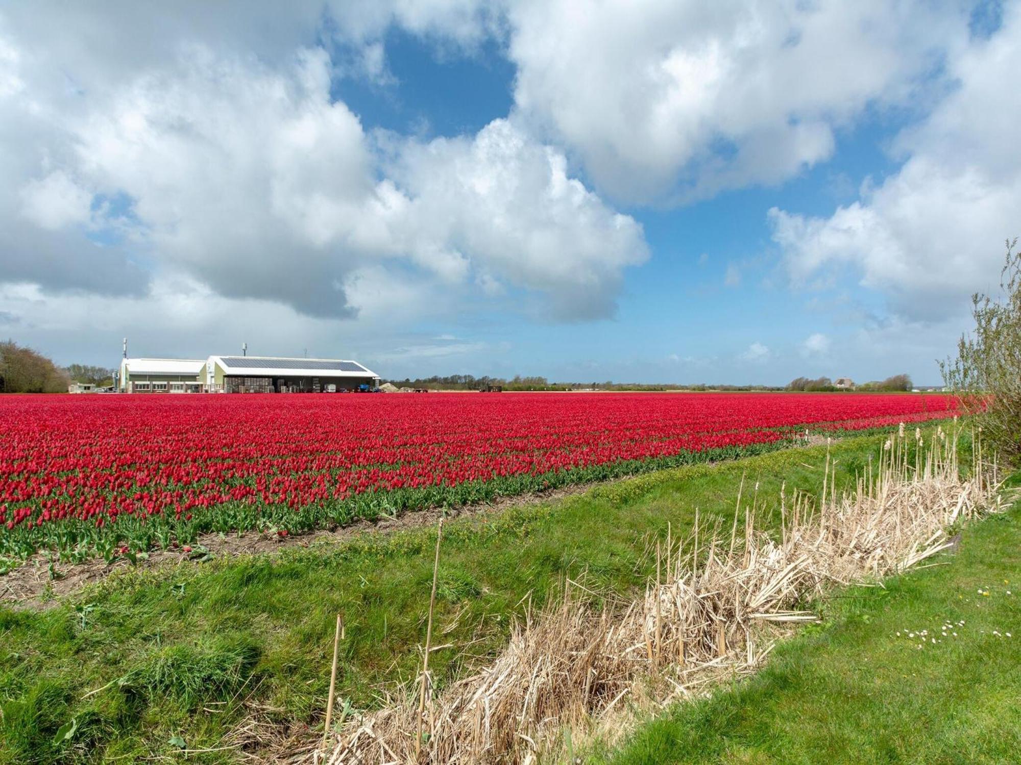 Holiday Home With Fabulous Garden Sint Maartensvlotbrug Exterior foto